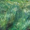 Detail of Adventures: brushwork in the long grass of the glen.