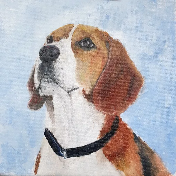Pet Portrait