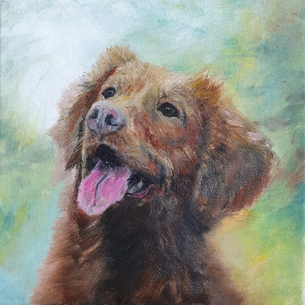 Pet Portrait - Image 3