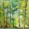 Detail of Bluebell Woods: tree trunks and bright green leaves above the bluebells.
