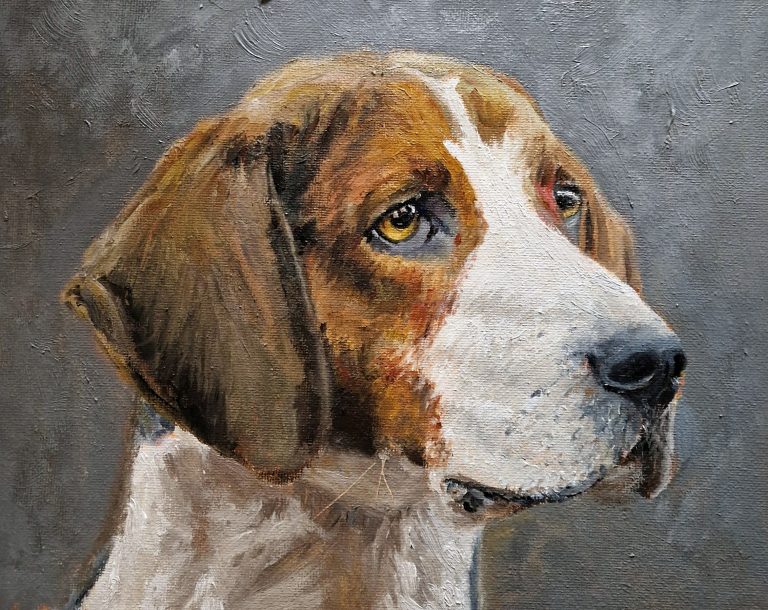 Oil portrait of a pet, painted from a photograph