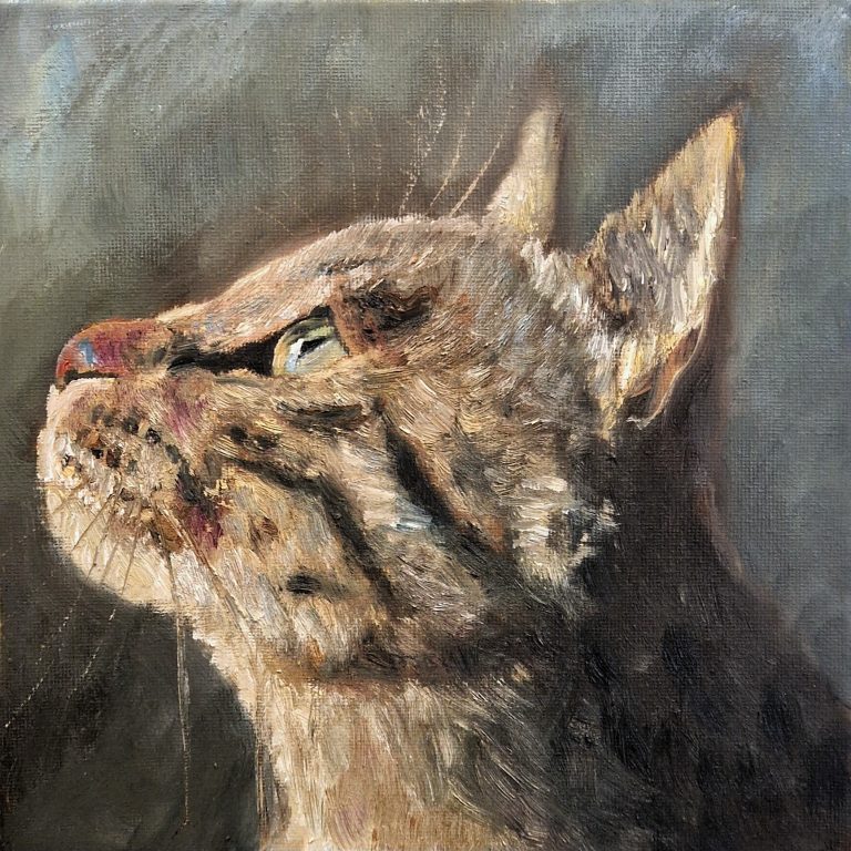 Oil portrait of a pet, painted from a photograph
